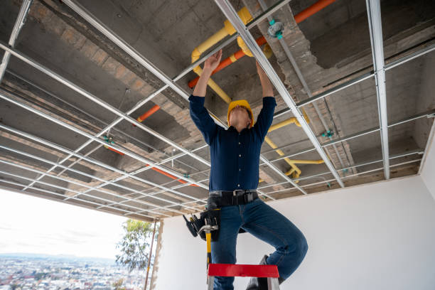 Best Pipe Repair Near Me  in Windsor, CO