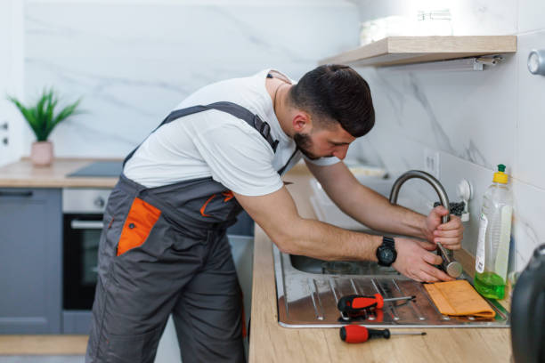 Best Commercial Plumbing Services  in Windsor, CO