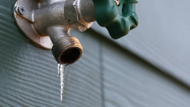 Best Same-Day Plumbing Service  in Windsor, CO
